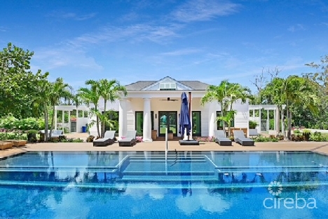 Liv cayman