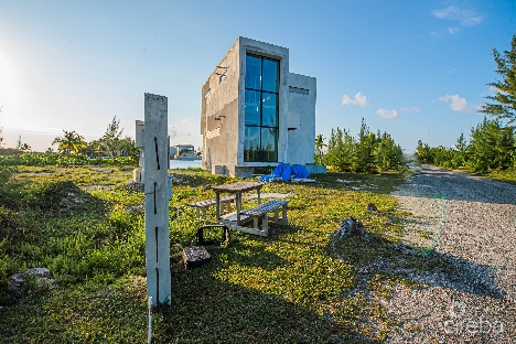 Mangrove point