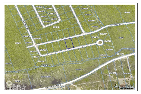 Little dolphin estate 0.3255 acres, cayman brac