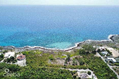 Oceanfront savannah development property