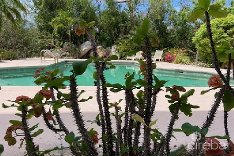 Caman brac bluff twin estate with pool
