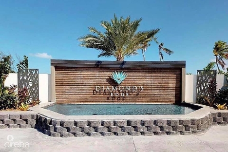 Diamond’s edge waterfront estate lot 9