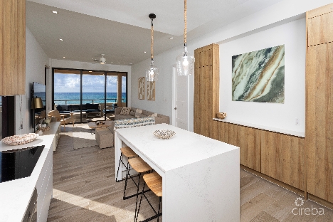 Seadreams  1, oceanfront condo