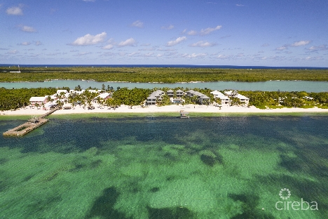 Marea luxurious little cayman beachfront villa