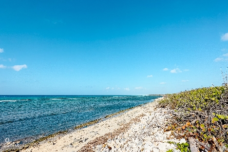 Oceanfront land little cayman 