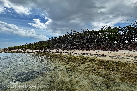 North side ocean front land