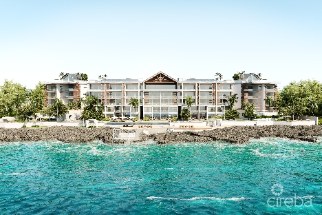 205 dolphin point club
