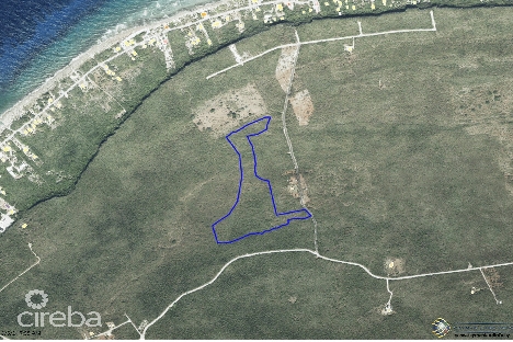 20 acres brac bluff land