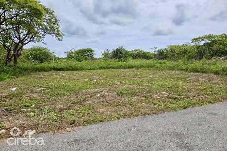 North side lot