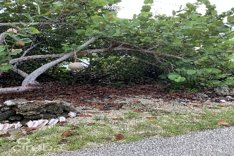 Soon come – south side east ocean front land