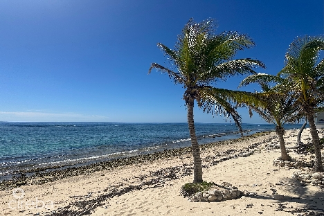 Beachfront land for sale – cayman islands