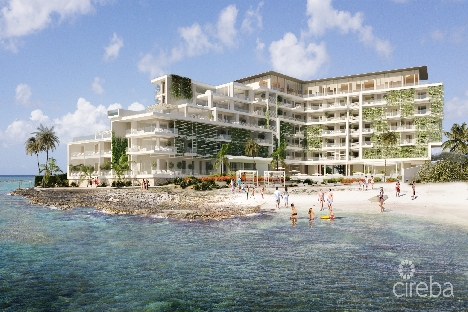 Kailani curio collection by hilton unit 604 assignment