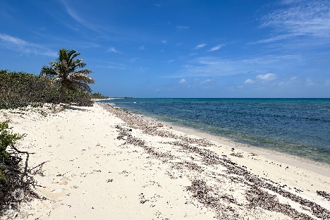 Ocean front land little cayman
