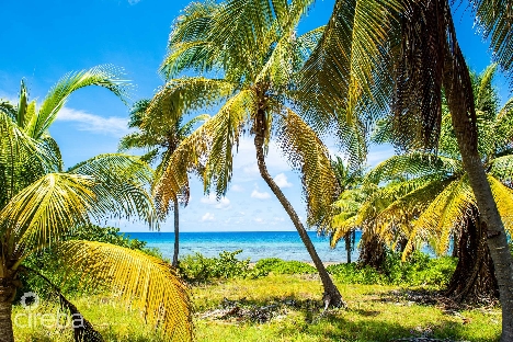 Little cayman 0.52 acres, beach front