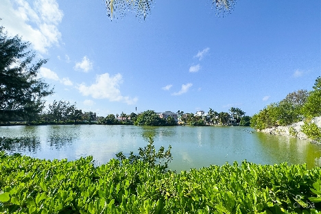 Lakeshore villas