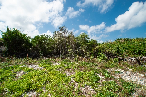 Corner lot rum point drive