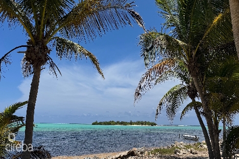 Owen island view