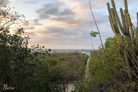 77 polack drive, brac land