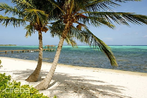Stunning oceanfront lot