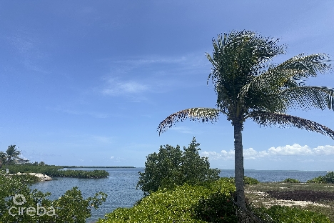 The shores canal front 0.4459acres – prime location