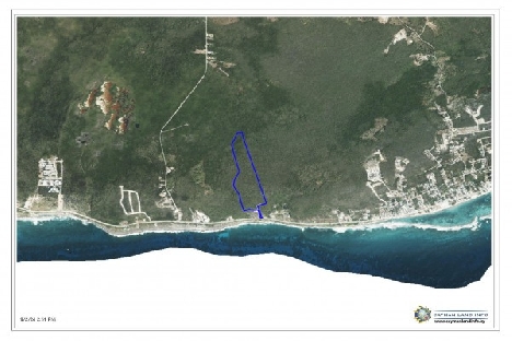 The blow holes lot #9