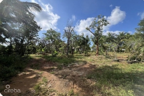 Development opportunity - high & dry lot in northward -  .53 acres