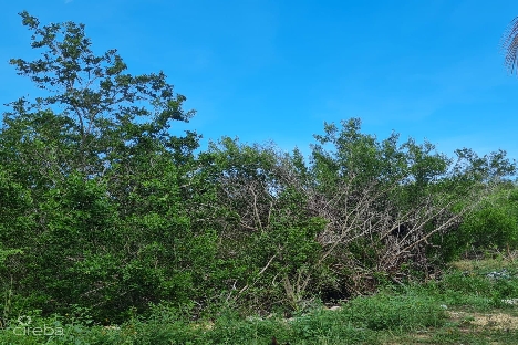 .3 acre lot north side