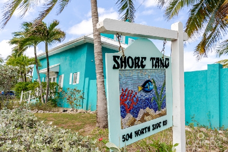 Shore tang