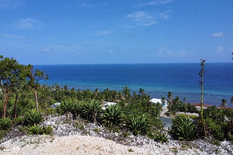 Bluff land - cayman brac east - lot #4