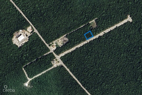 Bluff land with road access