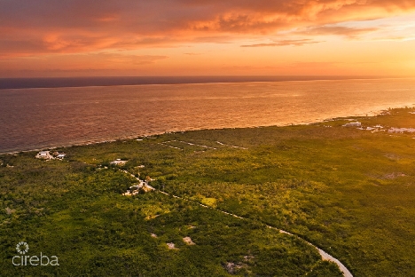 100 acres high rock land