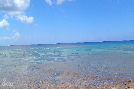 Vida vistas