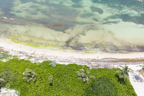 Rum point beach front lot