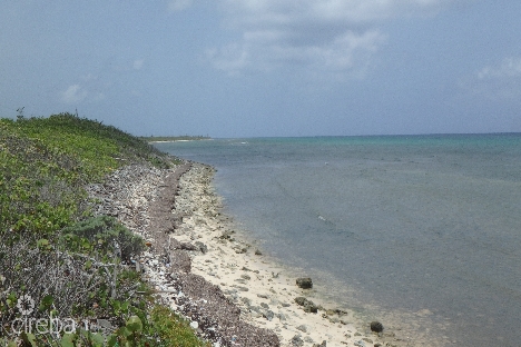 Little cayman north side ocean front land