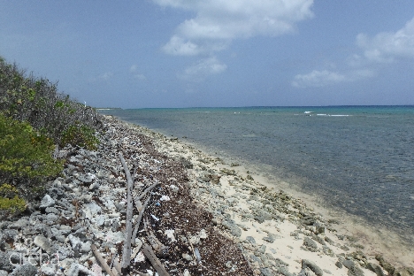 Little cayman north side ocean front land