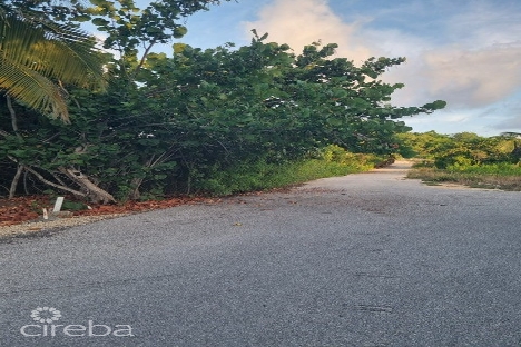 Cayman brac house lot on harold drive