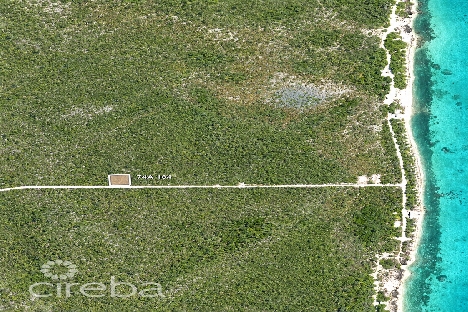 Colliers homestead 1 acre