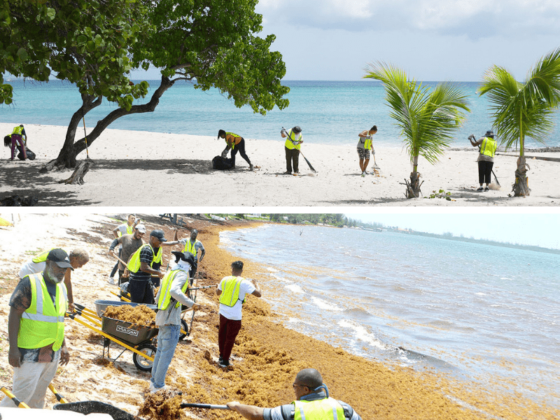 NiCE Project Cleans Up Cayman