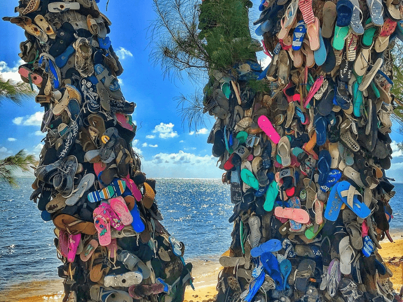 Shoe Tree in South Sound sparks Debate