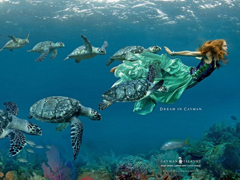 Cayman Tourism Reaches New Heights