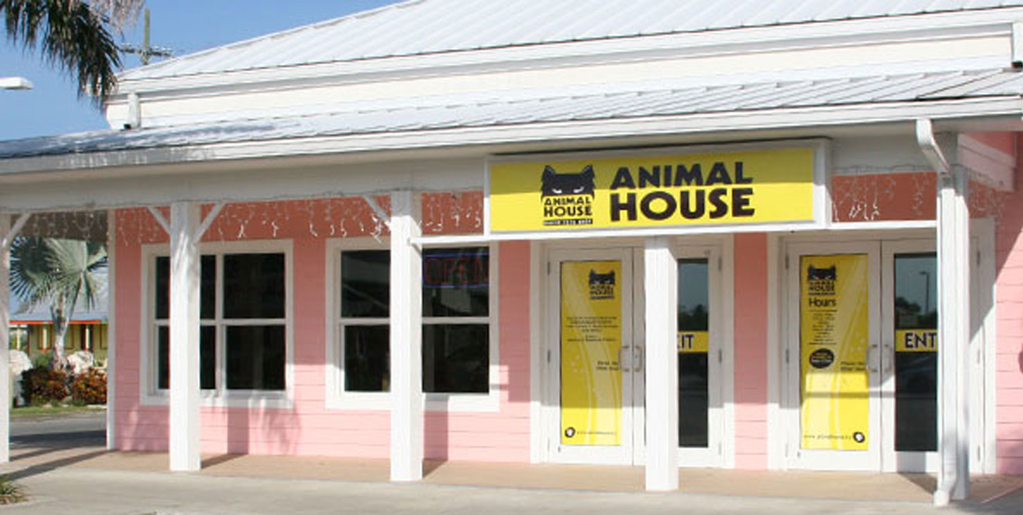 Savannah / Lower