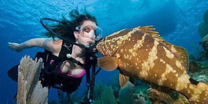 Little Cayman (2)