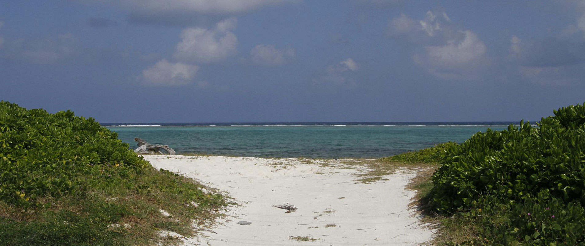 Top 10 questions to ask a Realtor in the Cayman Islands