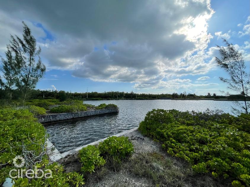 Mangrove point  large canal lot