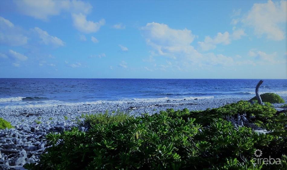 South side cayman brac oceanfront