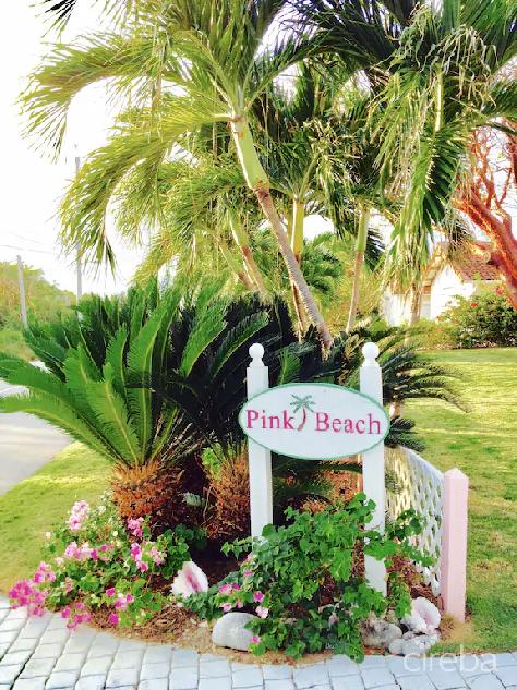 Pink beach – income producer!