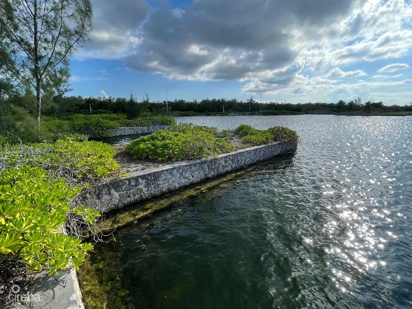 Oversized canalfront lot – mangrove point