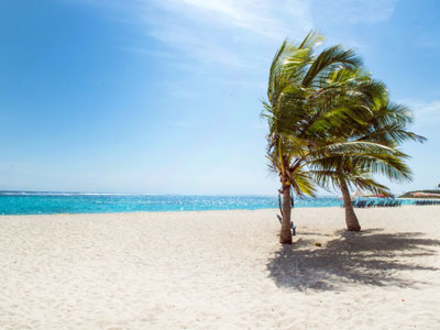 Meet ERA’s Outstanding Real Estate Agents in the Cayman Islands