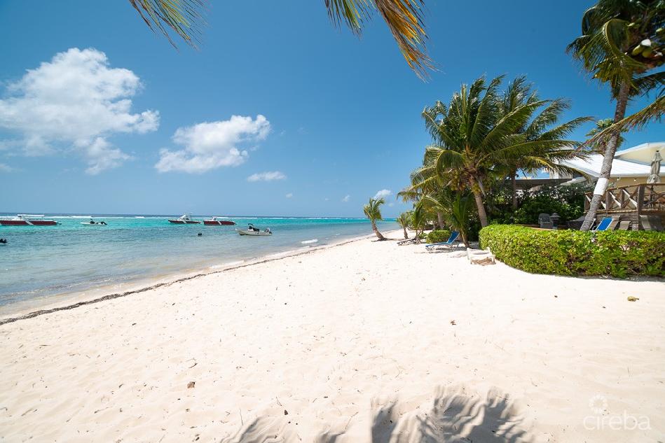 Caribbean paradise #8