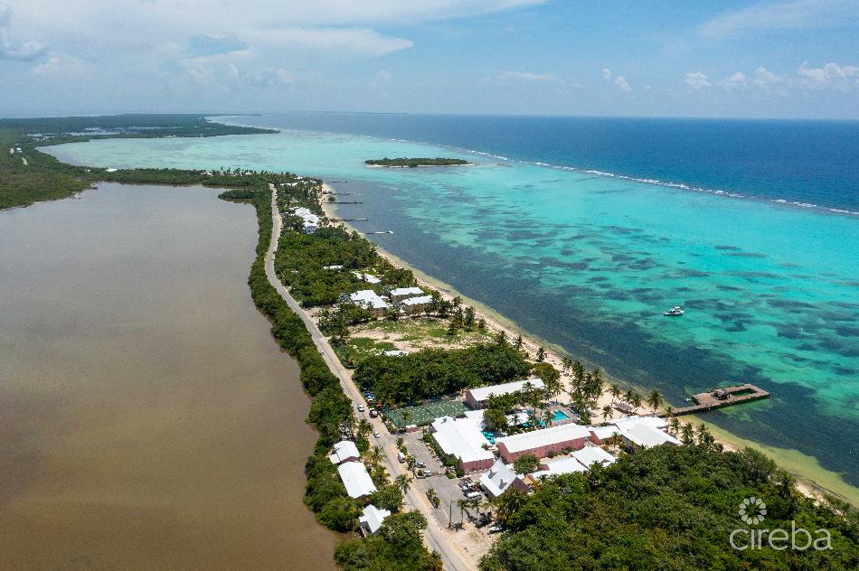 Marea luxurious little cayman beach front facing villas
